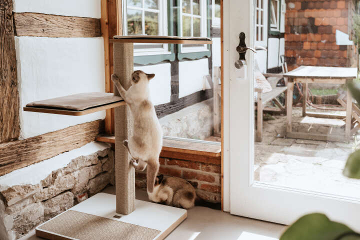 stylecats Kratzbaum Owen mit Sisal